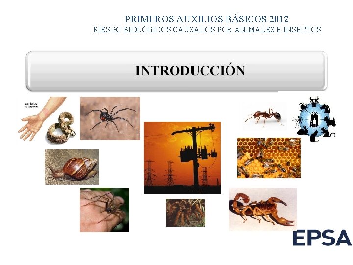 PRIMEROS AUXILIOS BÁSICOS 2012 RIESGO BIOLÓGICOS CAUSADOS POR ANIMALES E INSECTOS 