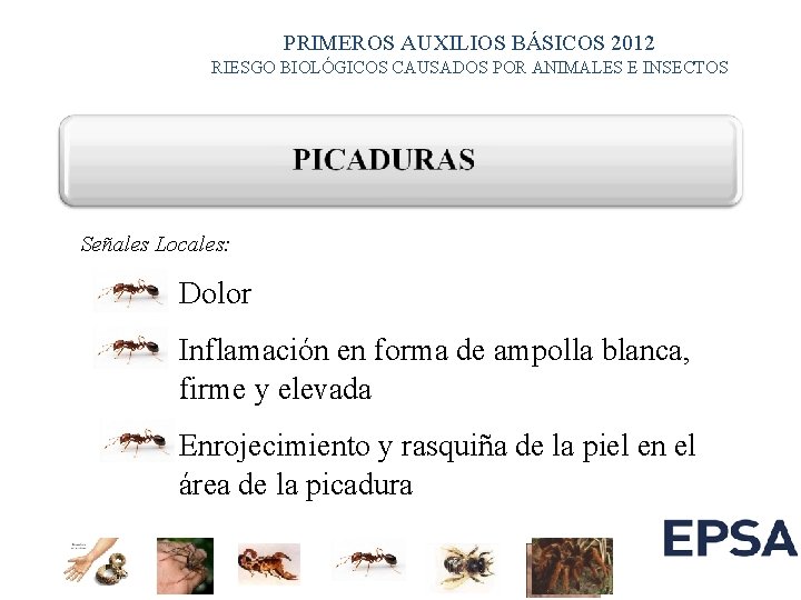 PRIMEROS AUXILIOS BÁSICOS 2012 RIESGO BIOLÓGICOS CAUSADOS POR ANIMALES E INSECTOS Señales Locales: Dolor