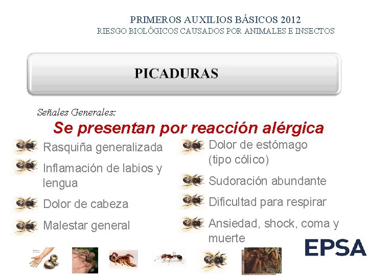 PRIMEROS AUXILIOS BÁSICOS 2012 RIESGO BIOLÓGICOS CAUSADOS POR ANIMALES E INSECTOS Señales Generales: Se PRIMEROS AUXILIOS BÁSICOS 2012 RIESGO BIOLÓGICOS CAUSADOS POR ANIMALES E INSECTOS Señales Generales: Se