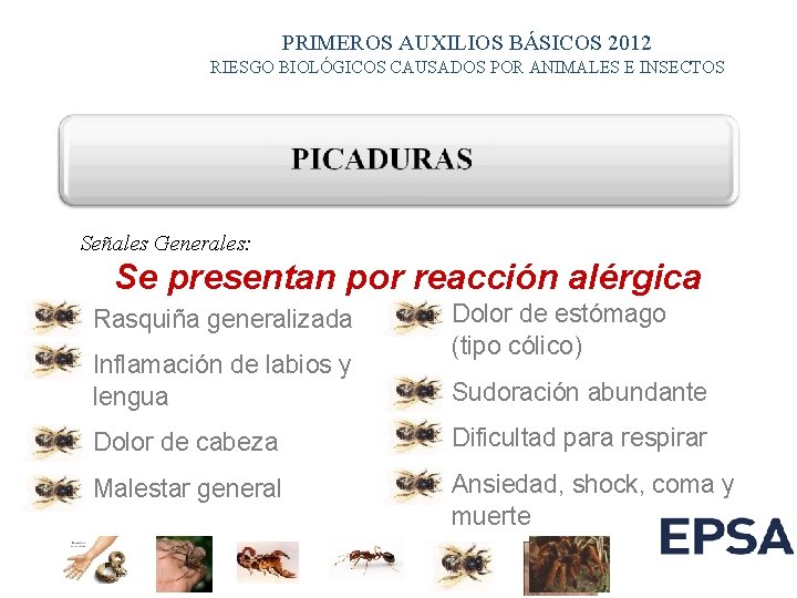 PRIMEROS AUXILIOS BÁSICOS 2012 RIESGO BIOLÓGICOS CAUSADOS POR ANIMALES E INSECTOS Señales Generales: Se