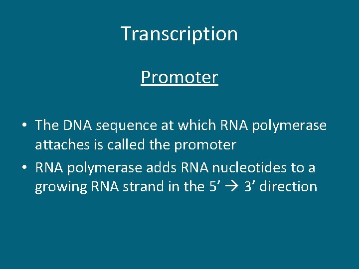 Transcription Promoter • The DNA sequence at which RNA polymerase attaches is called the