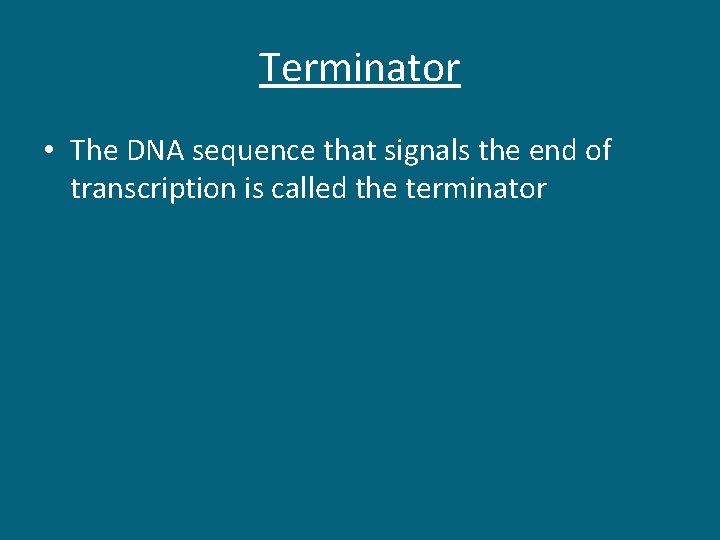 Terminator • The DNA sequence that signals the end of transcription is called the