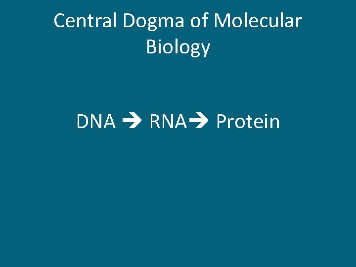 Central Dogma of Molecular Biology DNA RNA Protein 