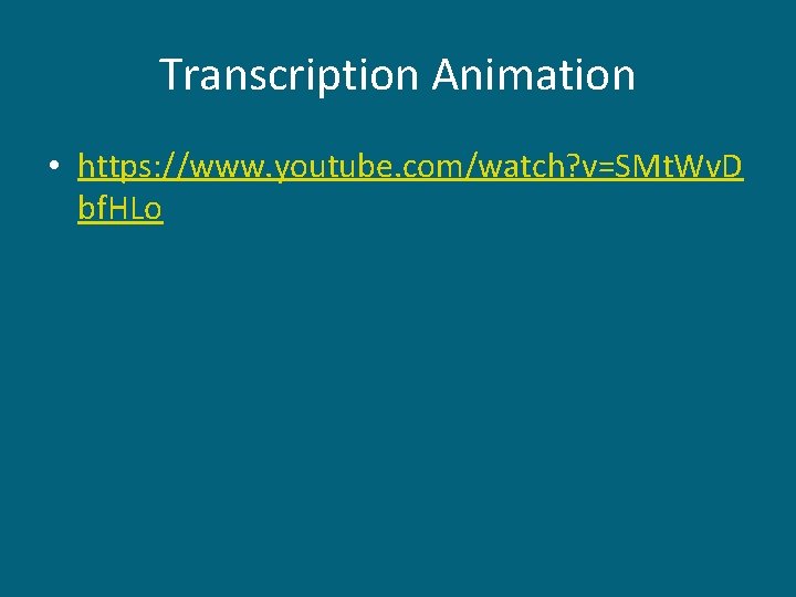 Transcription Animation • https: //www. youtube. com/watch? v=SMt. Wv. D bf. HLo 