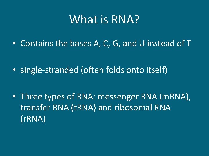 What is RNA? • Contains the bases A, C, G, and U instead of