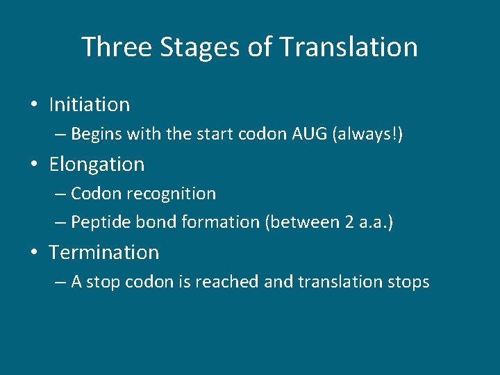 Three Stages of Translation • Initiation – Begins with the start codon AUG (always!)