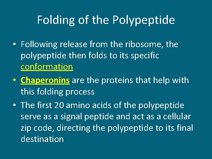 Folding of the Polypeptide • Following release from the ribosome, the polypeptide then folds