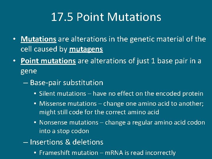 17. 5 Point Mutations • Mutations are alterations in the genetic material of the