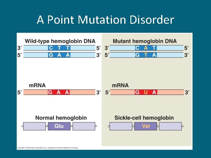 A Point Mutation Disorder 