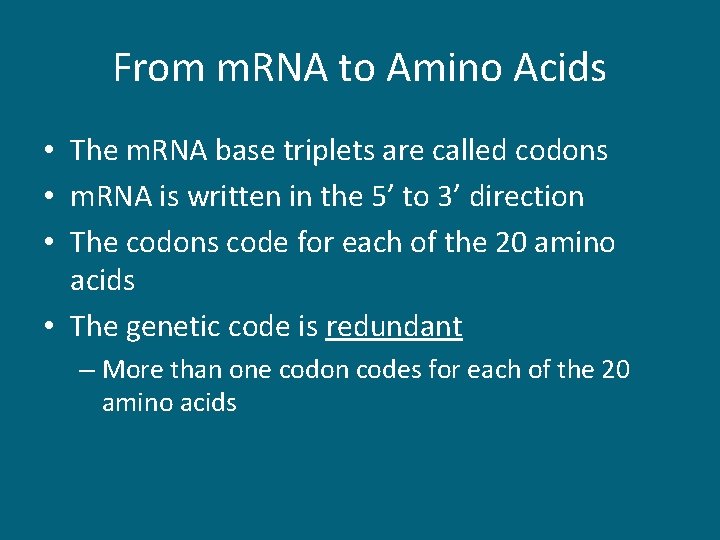 From m. RNA to Amino Acids • The m. RNA base triplets are called