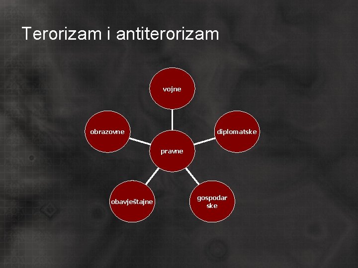 Terorizam i antiterorizam vojne obrazovne diplomatske pravne obavještajne gospodar ske 