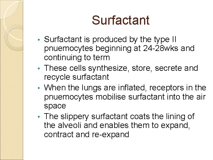 Surfactant is produced by the type II pnuemocytes beginning at 24 -28 wks and