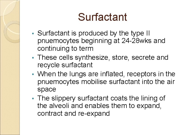 Surfactant is produced by the type II pnuemocytes beginning at 24 -28 wks and Surfactant is produced by the type II pnuemocytes beginning at 24 -28 wks and