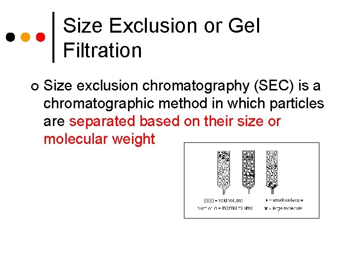 Size Exclusion or Gel Filtration ¢ Size exclusion chromatography (SEC) is a chromatographic method