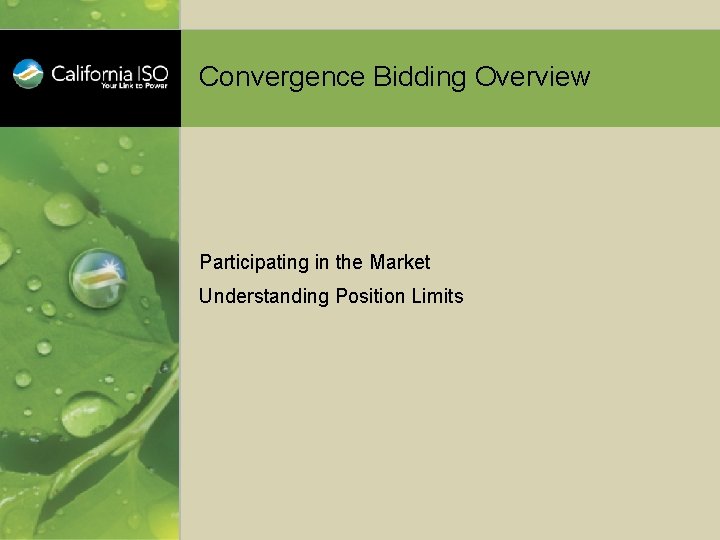 Convergence Bidding Overview Participating in the Market Understanding Position Limits 