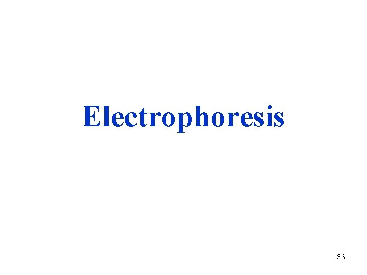 Electrophoresis 36 