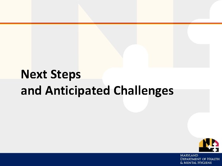 Next Steps and Anticipated Challenges 