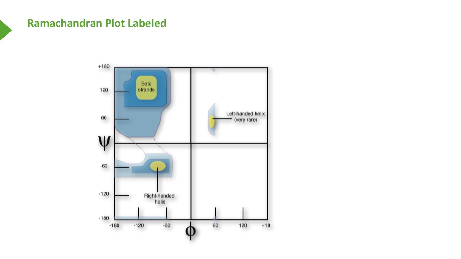 Ramachandran Plot Labeled 