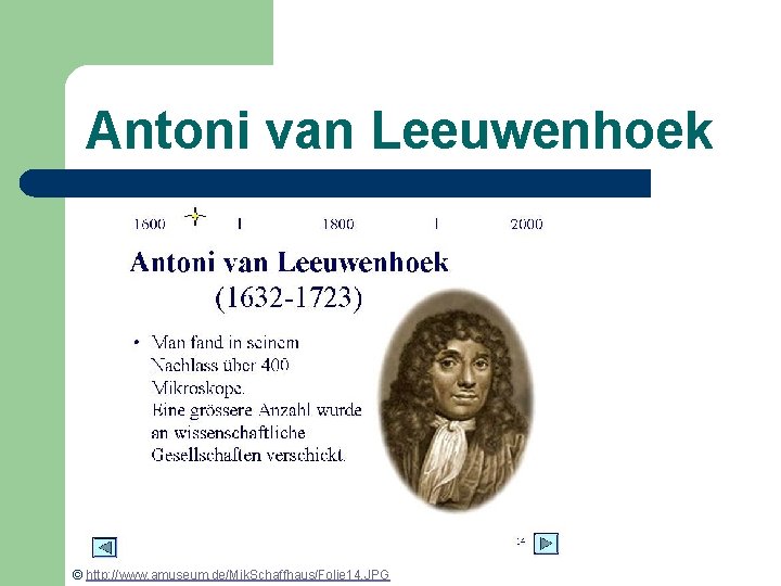 Antoni van Leeuwenhoek © http: //www. amuseum. de/Mik. Schaffhaus/Folie 14. JPG 