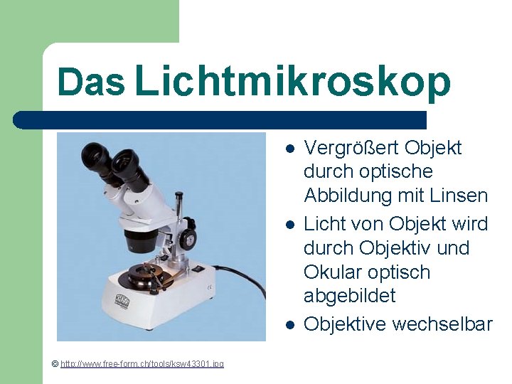 Das Lichtmikroskop l l l © http: //www. free-form. ch/tools/ksw 43301. jpg Vergrößert Objekt