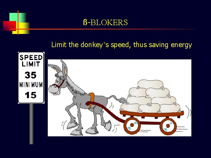 ß-BLOKERS Limit the donkey’s speed, thus saving energy 