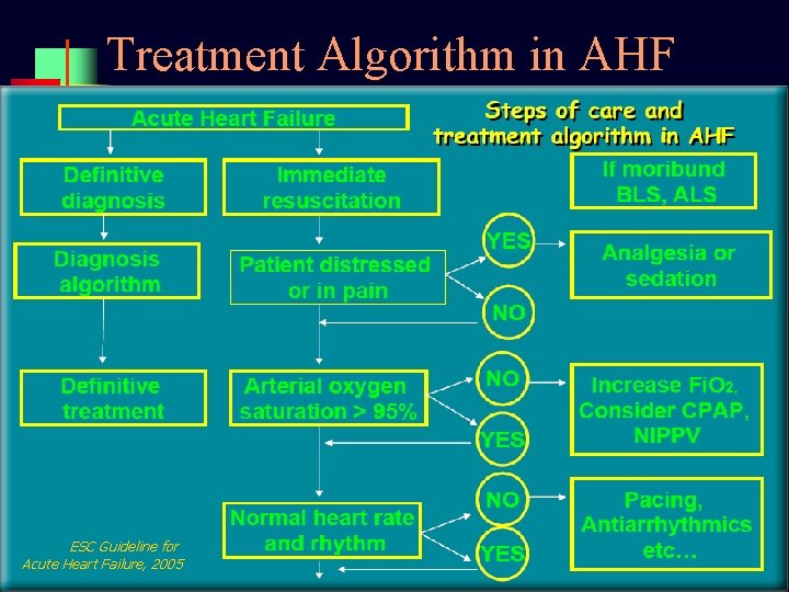 Treatment Algorithm in AHF ESC Guideline for Acute Heart Failure, 2005 