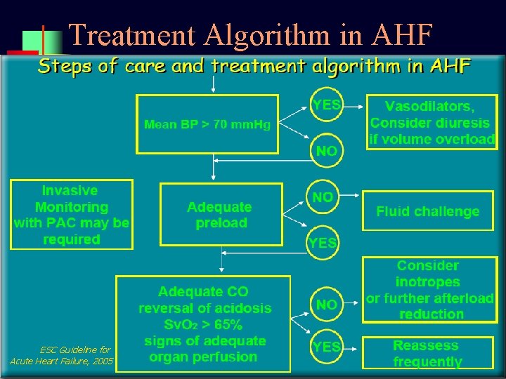 Treatment Algorithm in AHF ESC Guideline for Acute Heart Failure, 2005 