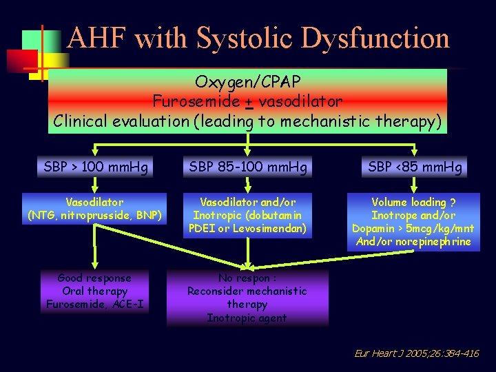 AHF with Systolic Dysfunction Oxygen/CPAP Furosemide + vasodilator Clinical evaluation (leading to mechanistic therapy)