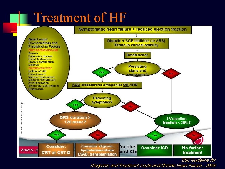 Treatment of HF ESC Guideline for Diagnosis and Treatment Acute and Chronic Heart Failure