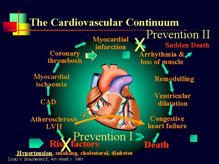 The Cardiovascular Continuum Coronary thrombosis Myocardial infarction Myocardial ischaemia X Prevention II Sudden Death