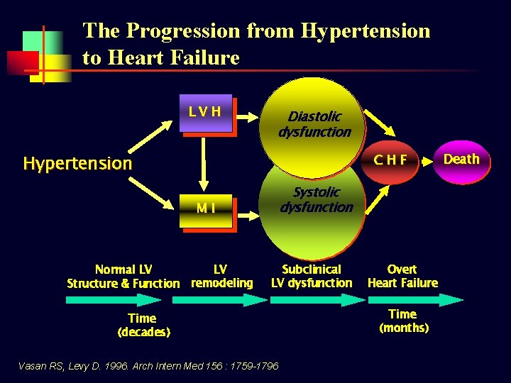 The Progression from Hypertension to Heart Failure LVH Diastolic dysfunction Hypertension CHF Systolic dysfunction