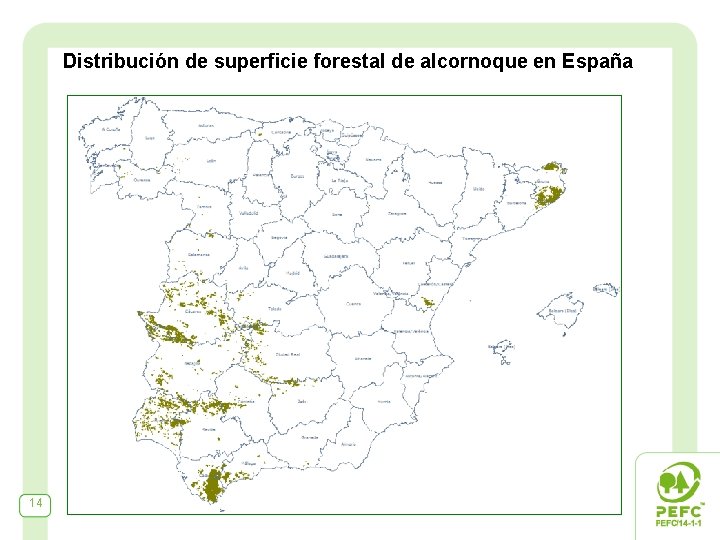 Distribución de superficie forestal de alcornoque en España 14 