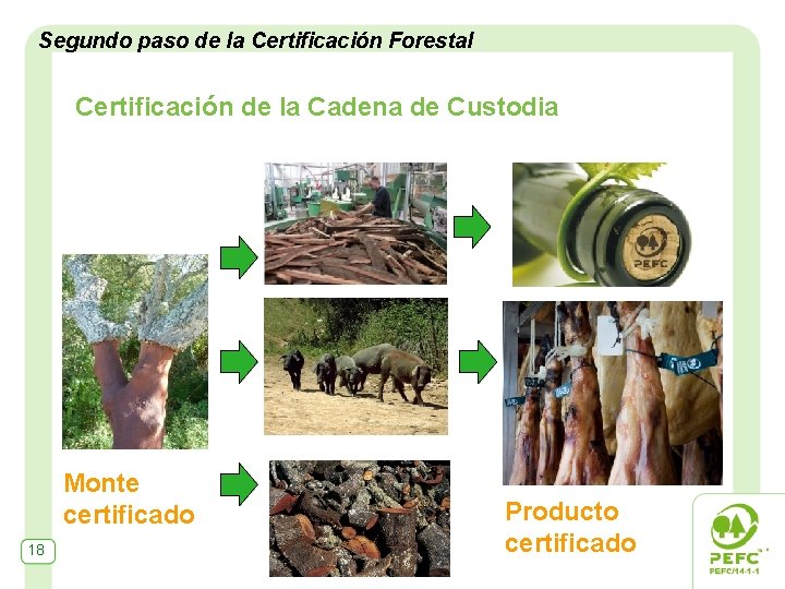 Segundo paso de la Certificación Forestal Certificación de la Cadena de Custodia Monte certificado