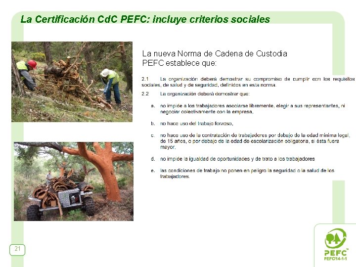 La Certificación Cd. C PEFC: incluye criterios sociales La nueva Norma de Cadena de