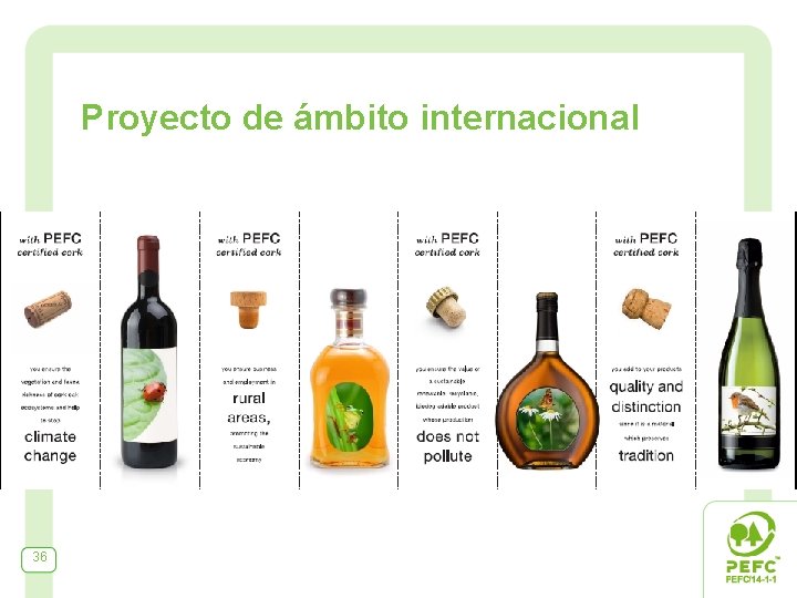 Proyecto de ámbito internacional 36 