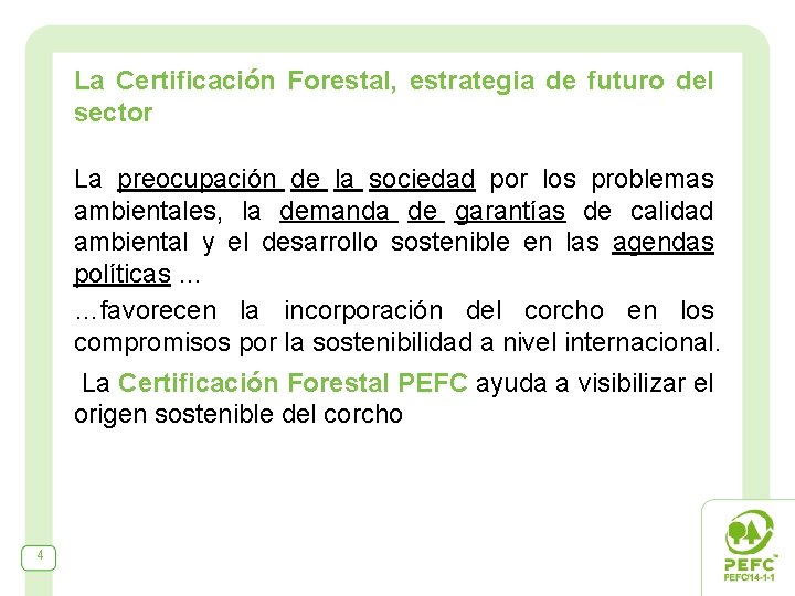 La Certificación Forestal, estrategia de futuro del sector La preocupación de la sociedad por