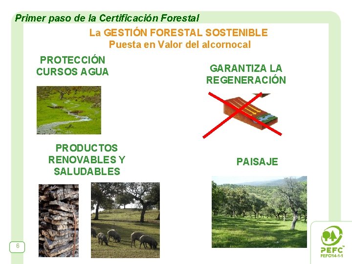 Primer paso de la Certificación Forestal La GESTIÓN FORESTAL SOSTENIBLE Puesta en Valor del