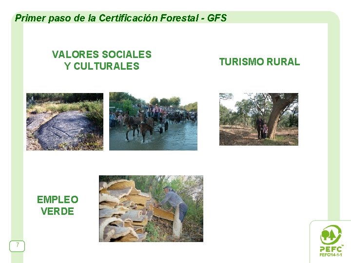 Primer paso de la Certificación Forestal - GFS VALORES SOCIALES Y CULTURALES EMPLEO VERDE
