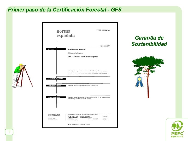 Primer paso de la Certificación Forestal - GFS Garantía de Sostenibilidad 8 