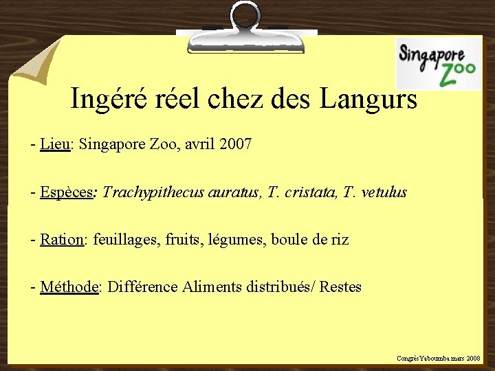 Ingéré réel chez des Langurs - Lieu: Singapore Zoo, avril 2007 - Espèces: Trachypithecus