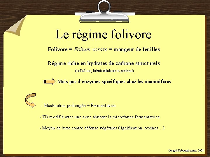 Le régime folivore Folivore = Folium vorare = mangeur de feuilles Régime riche en