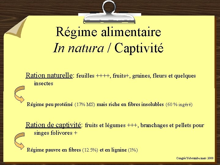 Régime alimentaire In natura / Captivité Ration naturelle: feuilles ++++, fruits+, graines, fleurs et