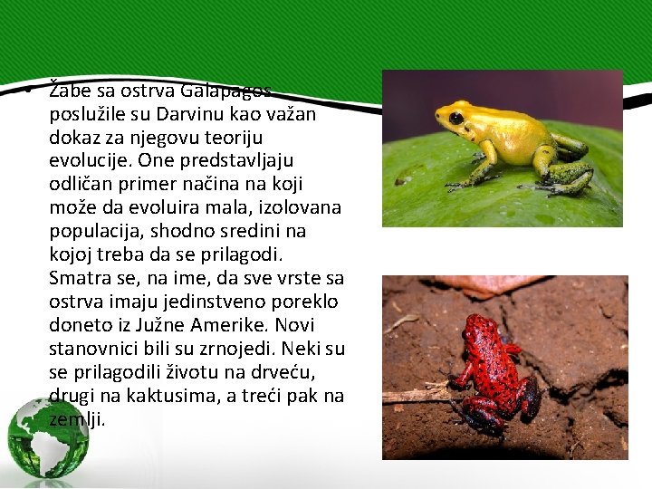  • Žabe sa ostrva Galapagos poslužile su Darvinu kao važan dokaz za njegovu
