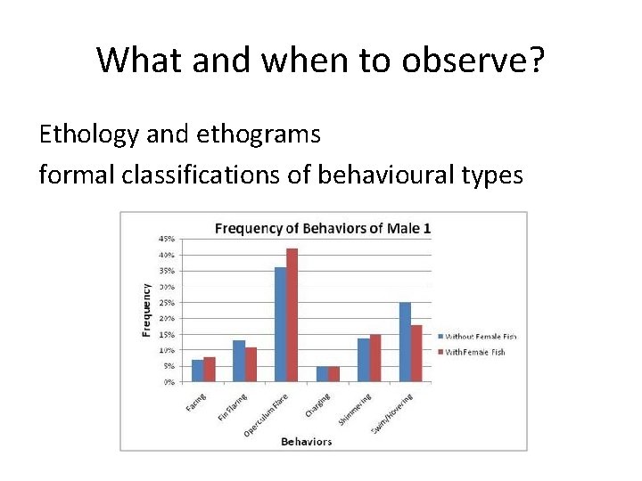 What and when to observe? Ethology and ethograms formal classifications of behavioural types 