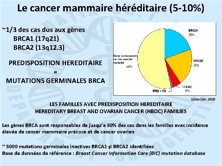 Le cancer mammaire héréditaire (5 -10%) ~1/3 des cas dus aux gènes BRCA 1