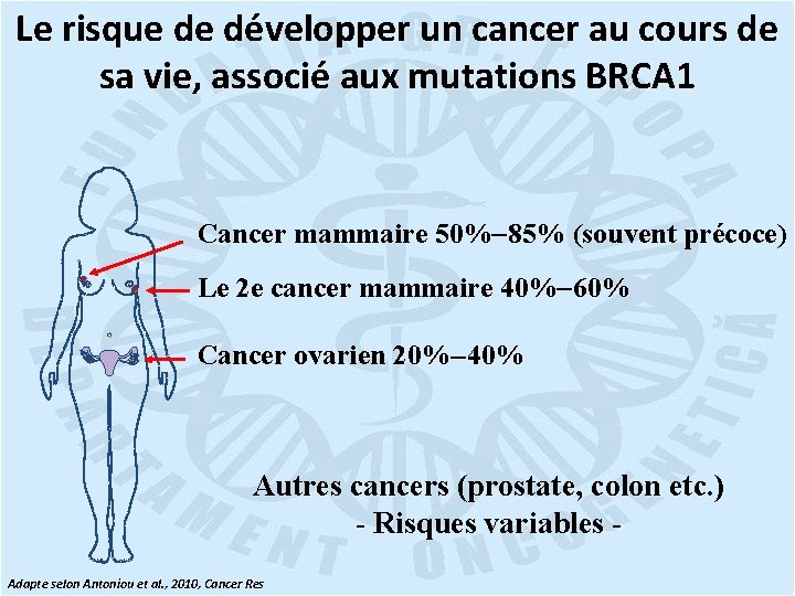 Le risque de développer un cancer au cours de sa vie, associé aux mutations