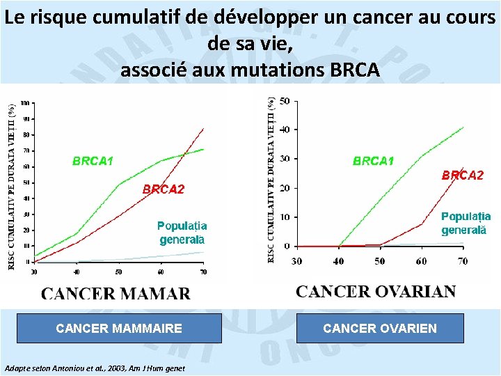 Le risque cumulatif de développer un cancer au cours de sa vie, associé aux