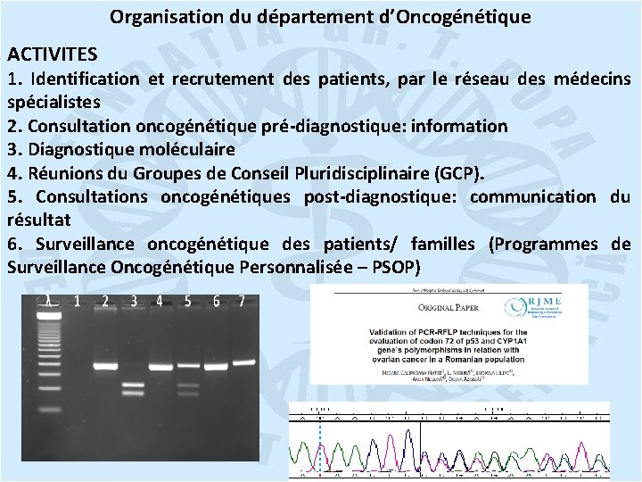 Organisation du département d’Oncogénétique ACTIVITES 1. Identification et recrutement des patients, par le réseau