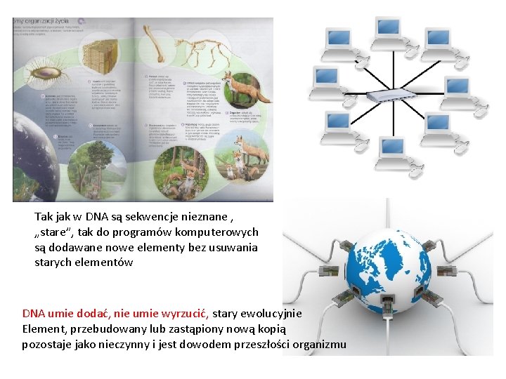 Tak jak w DNA są sekwencje nieznane , „stare”, tak do programów komputerowych są