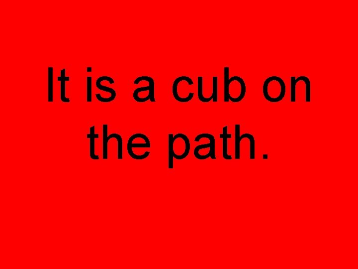 It is a cub on the path. 